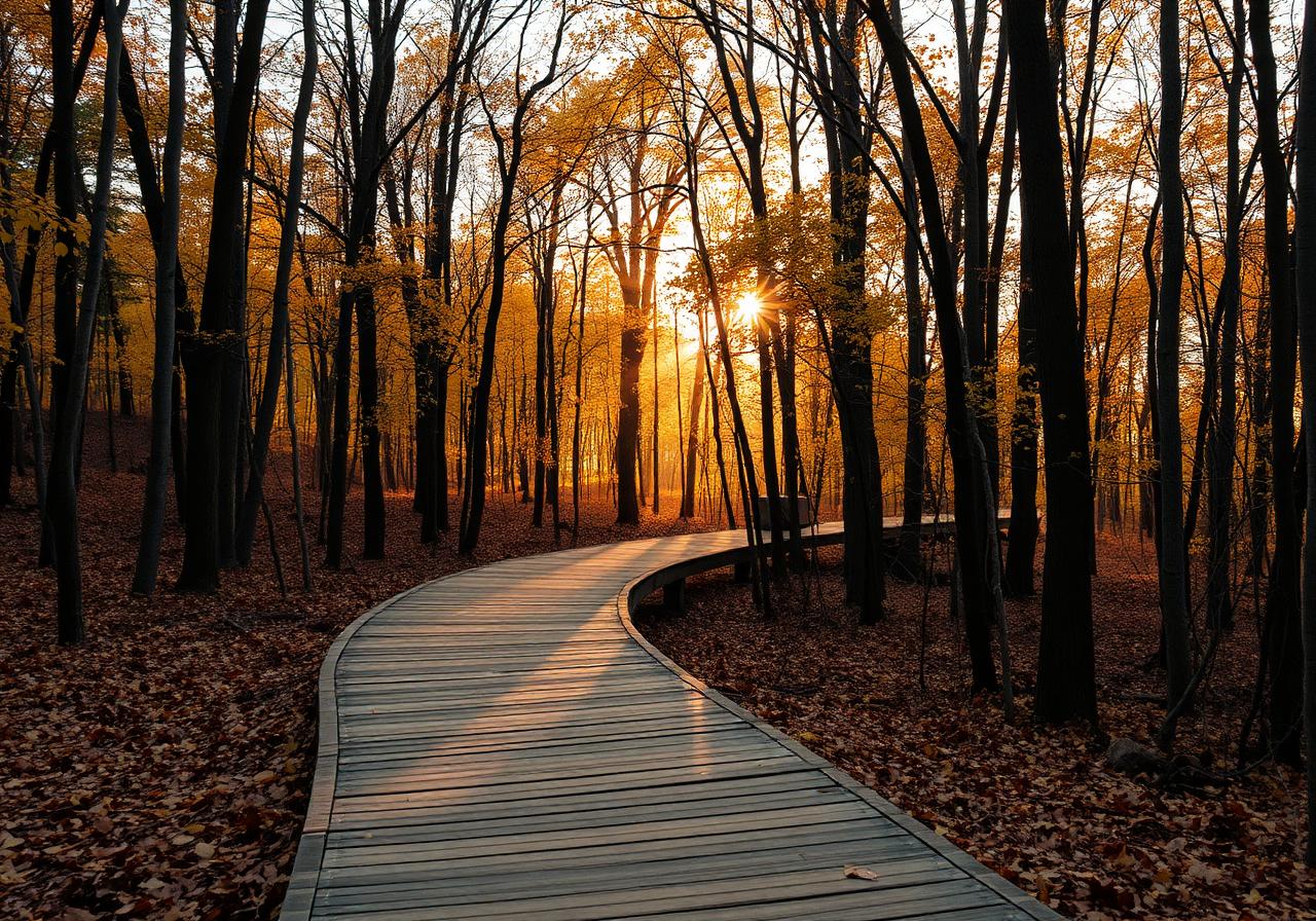 Embrace the Journey - God Is Shaping You for Something Greater
